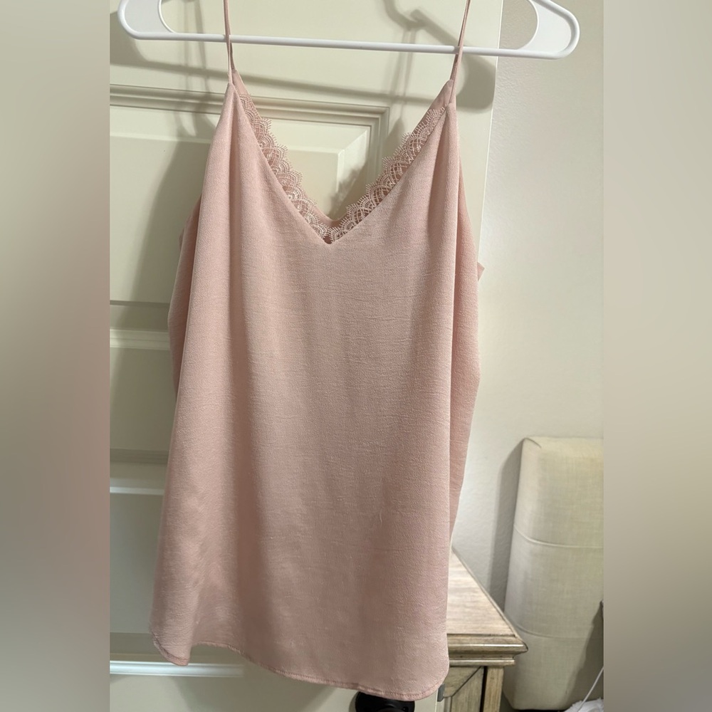 Express Blush Lace Trim Chemise